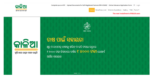 Application Process of Odisha CM Kisan Yojana 2024
