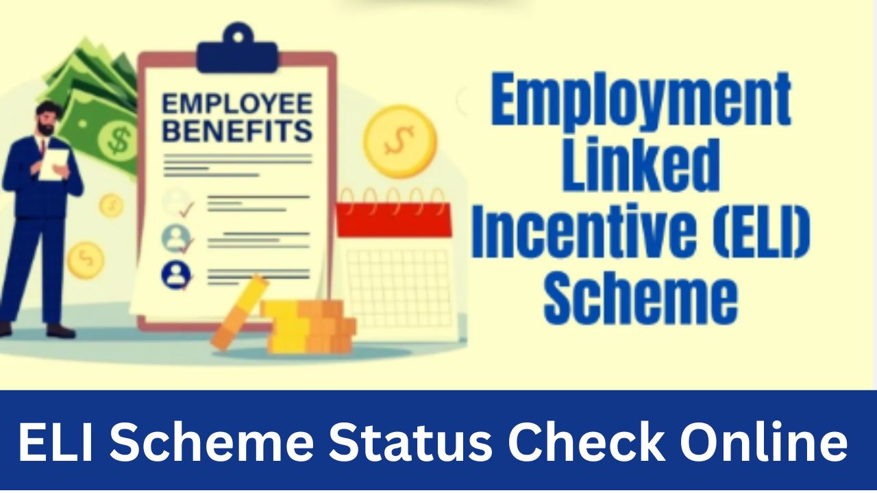 ELI Scheme Status