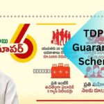 TDP 6 Guarantee Scheme